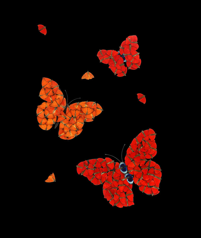 Butterflies in Flight Red Mixed Media by Scott Fulton