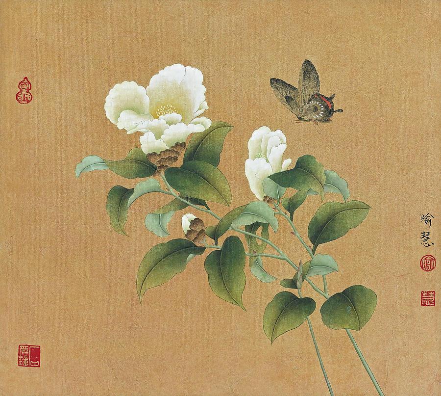 Butterflies in Love with Flowers by Yu Hui Butterflies in Love with Flowers by Yu Hui