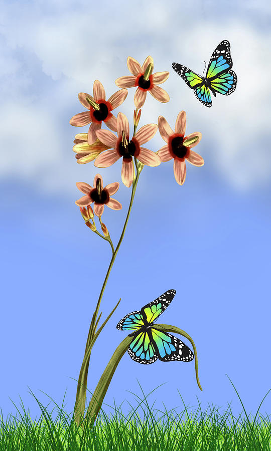 Butterflies In The Garden Pane 1 Ixia Columellaris Flower Digital Art by David Dehner