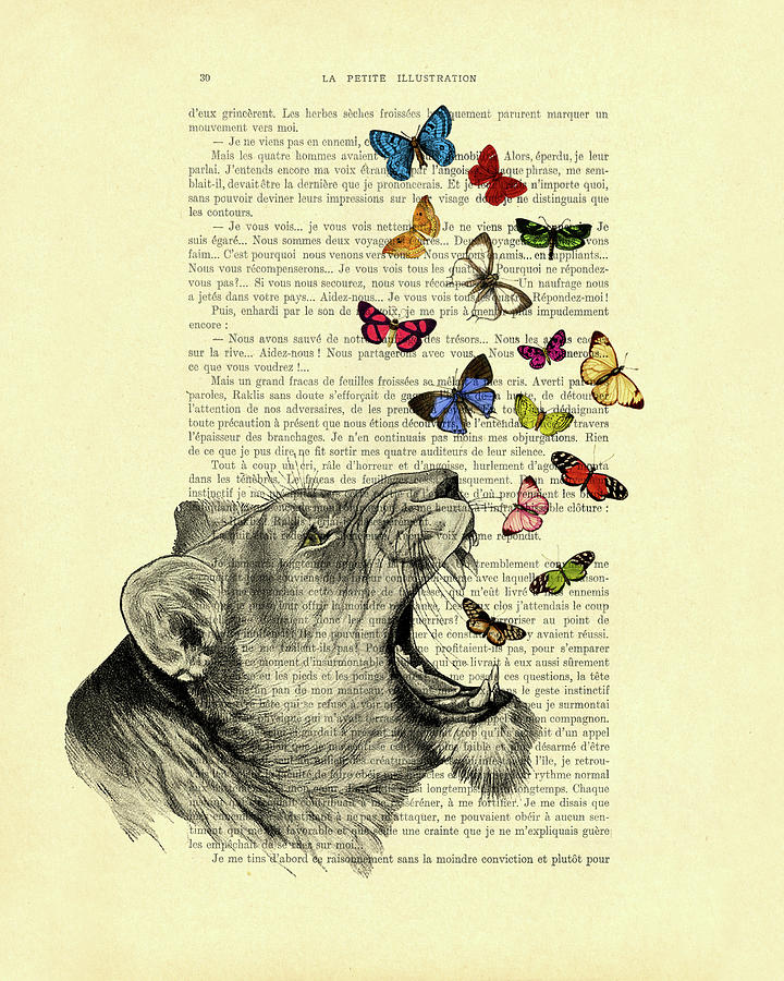 Butterflies lioness book page art print Digital Art by Madame Memento