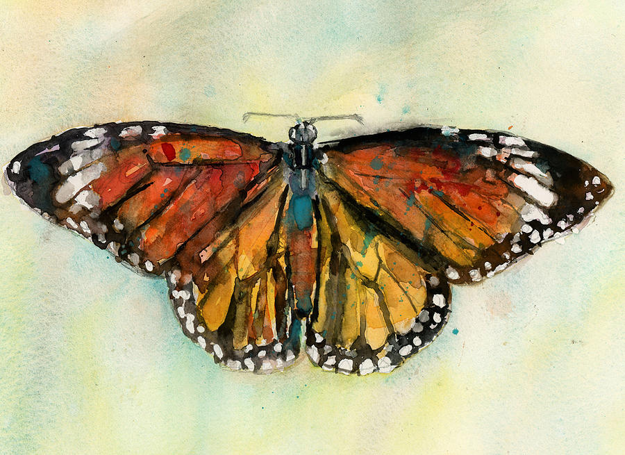 Insects Painting - Butterflies -  monarch by Dorrie Rifkin
