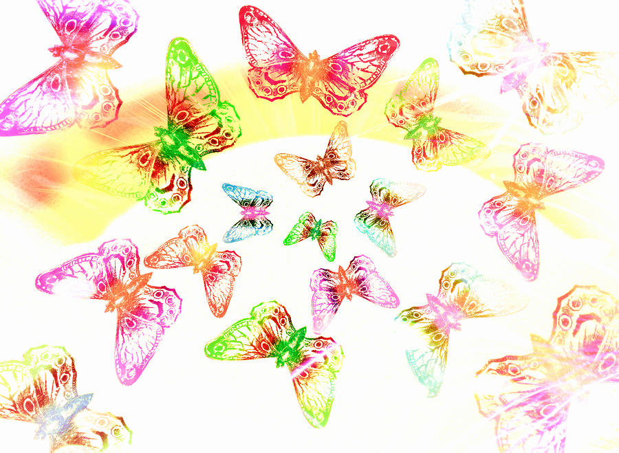 Butterfly Digital Art - Butterflies  by Nature Art
