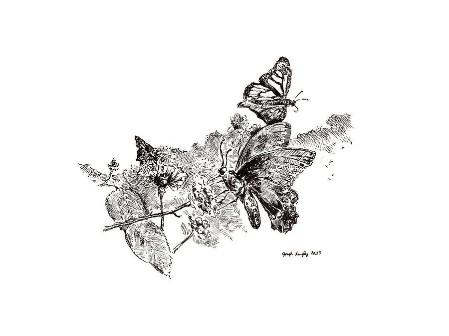 Butterflies That Visited Me in 2023 Drawing by Joseph A Langley