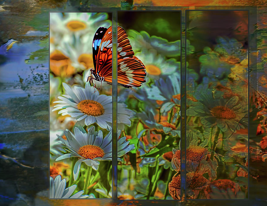 Butterfly in Triptych Digital Art by Cordia Murphy