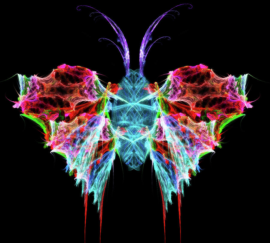 Butterfly 1968 Digital Art by Brian Damkjer - Fine Art America