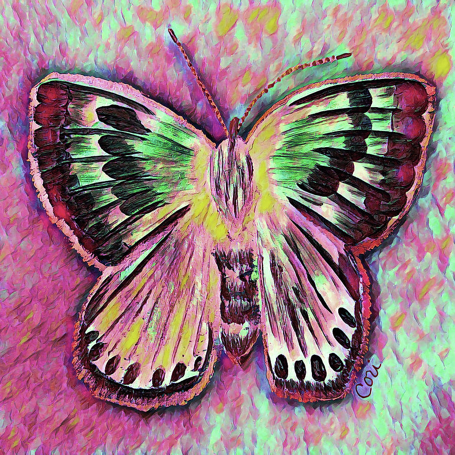 Butterfly 604 Painting by Corinne Carroll