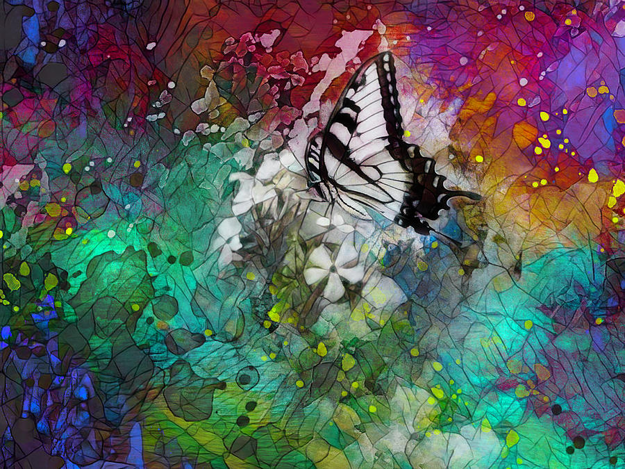 Butterfly Abstract  Photograph by Ann Powell