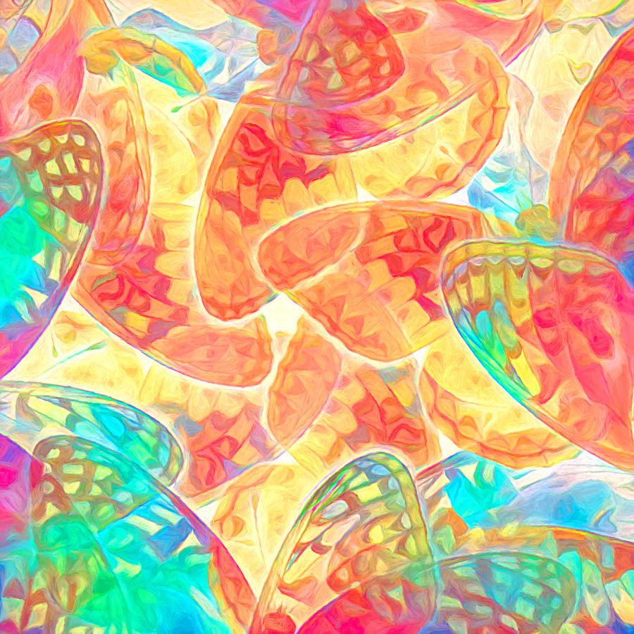 Butterfly Abstract Digital Art by Susan Hope Finley