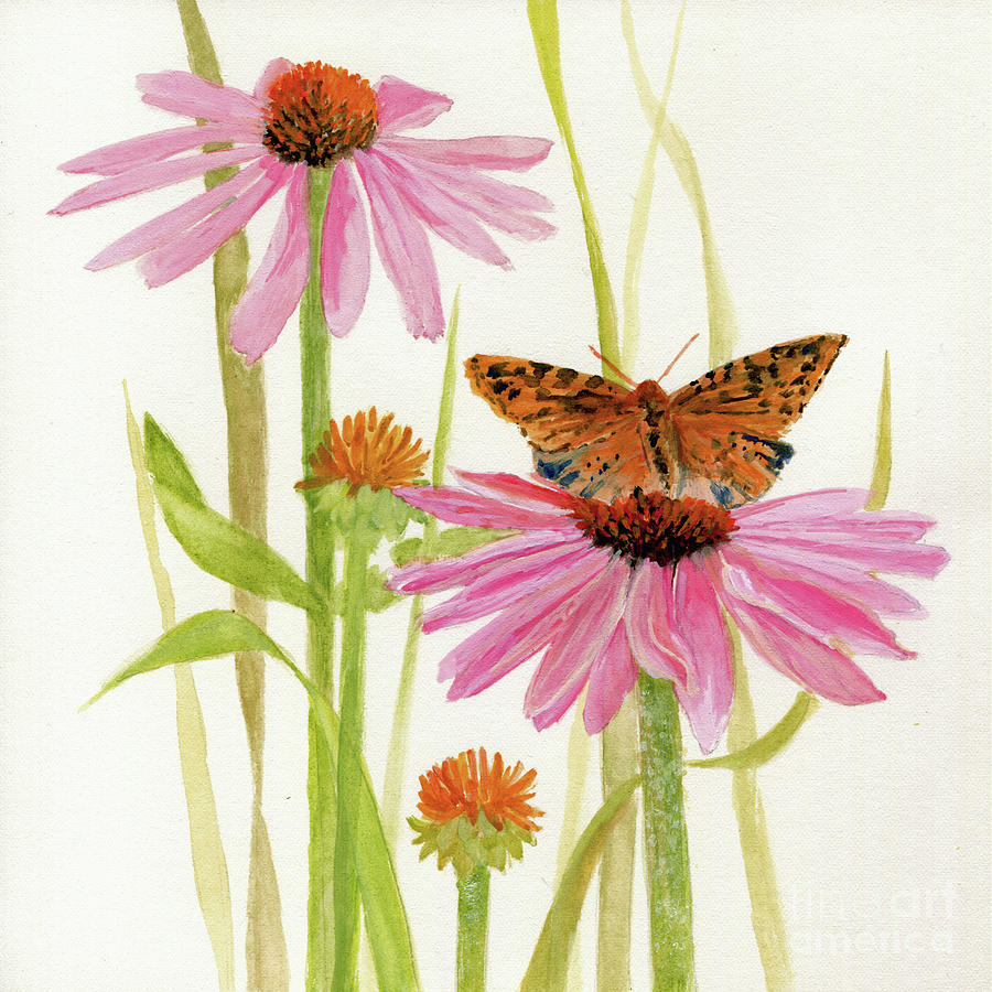 Butterfly and Coneflowers Painting by Laurie Rohner