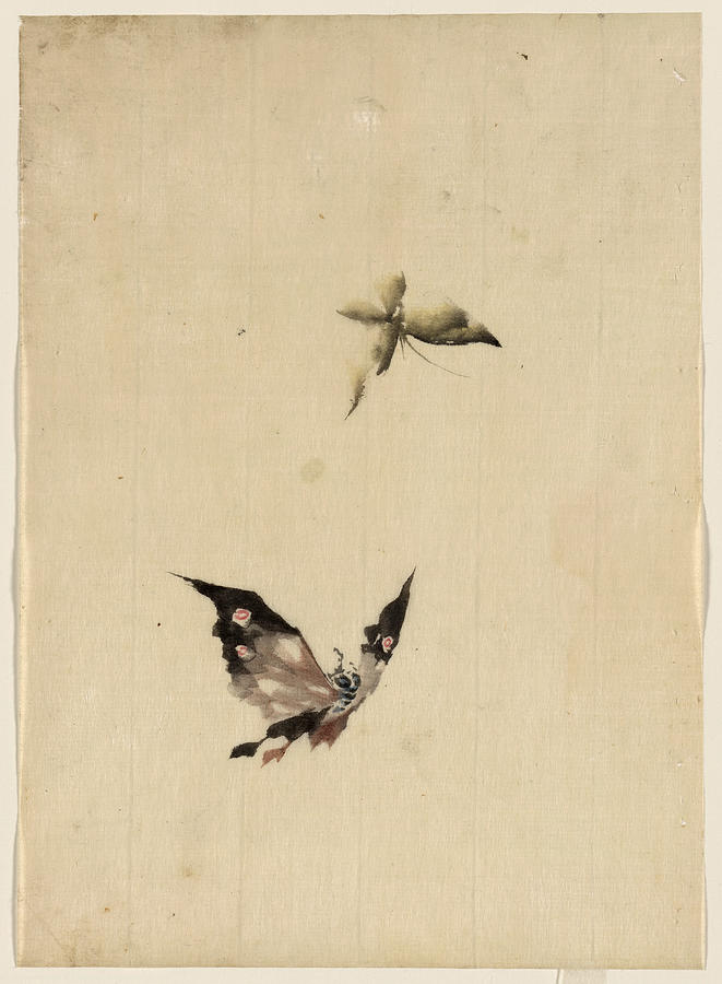 japanese butterfly painting