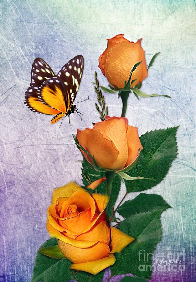 Butterfly and Orange Rosess Digital Art by Morag Bates
