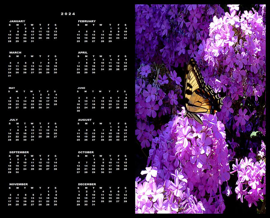 Butterfly and Phlox, 2024 Calendar Single Page Photograph by Mike McBrayer