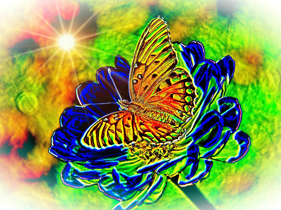 Butterfly Blues Photograph by Allen Nice-Webb