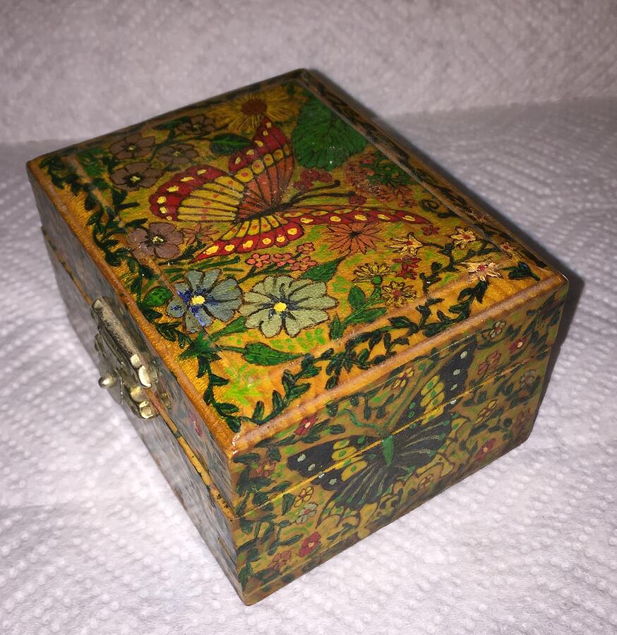 Butterfly Box-Handpainted  Trinket Box-Not for Sale Photograph by Shelli Fitzpatrick