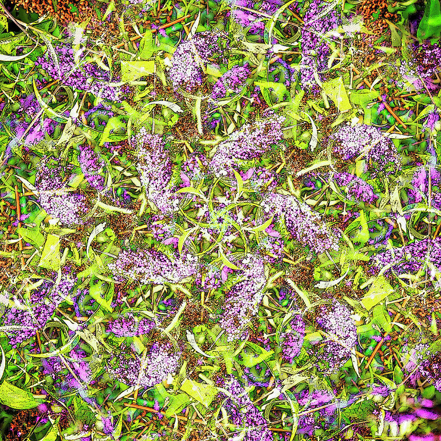 Butterfly Bush Digital Art