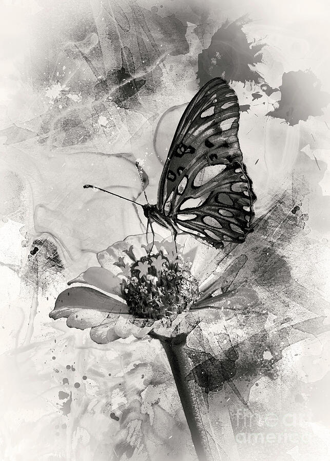 Yellowstone National Park Digital Art - Butterfly - Bw by Anthony Ellis