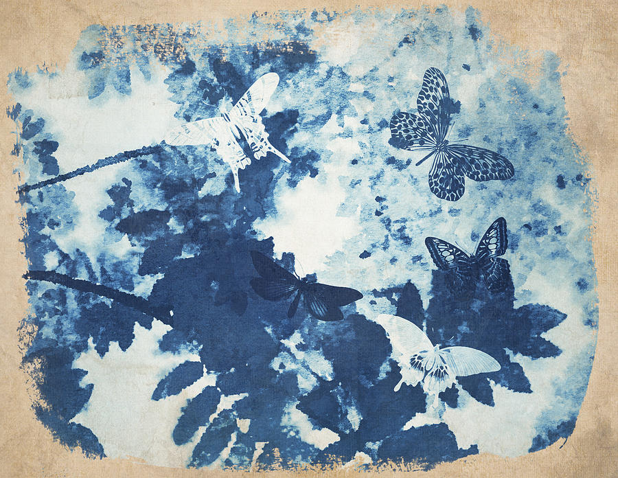 Butterfly Clouds Digital Art by Alison Woodside | Pixels