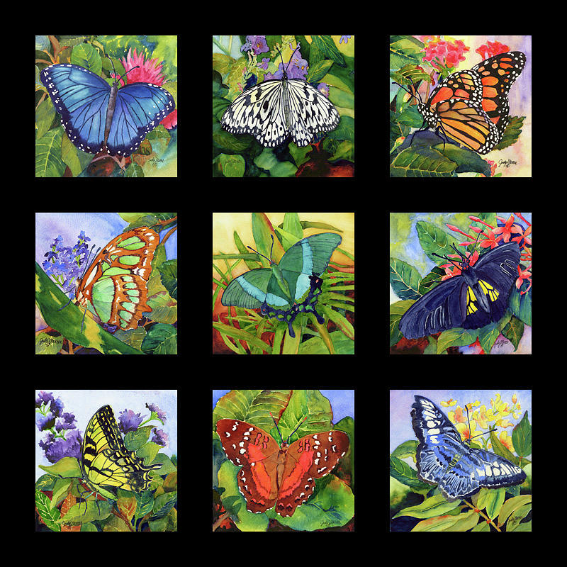 Butterfly Collection Painting by Judy Mercer