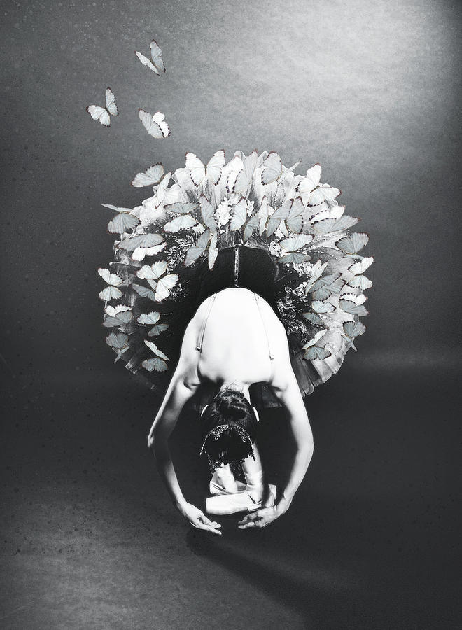 Butterfly Dance Mixed Media by Jacky Gerritsen