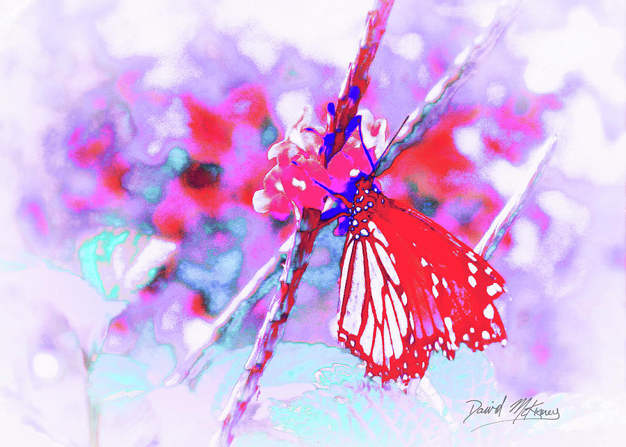 Butterfly Digital Art - Butterfly  by David McKinney