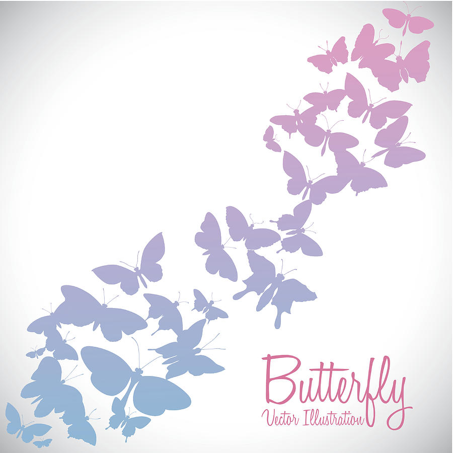 Butterfly design Drawing by Djvstock