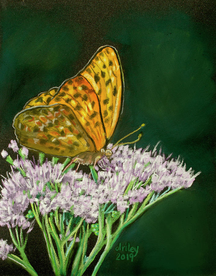 Butterfly Painting by Dorothy Riley