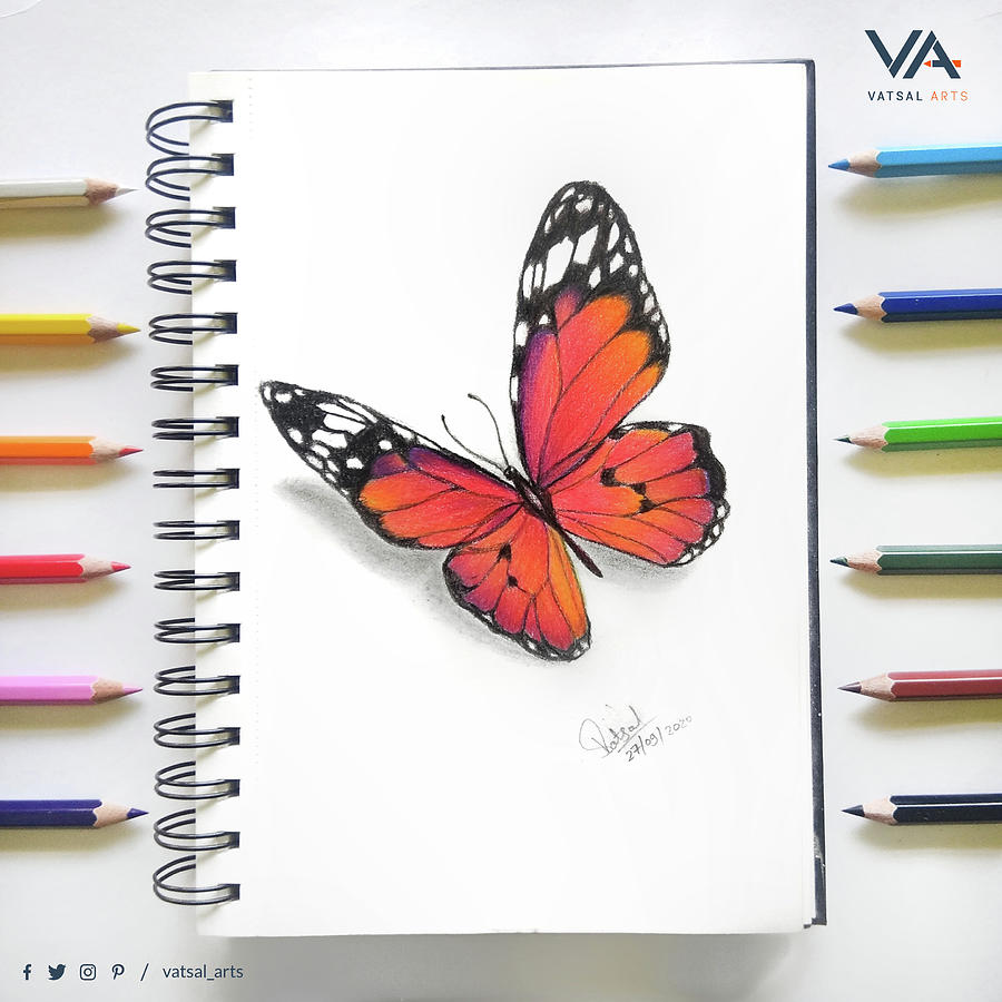 Butterfly Drawing by Vatsal Singh @vatsal.arts Drawing by Vatsal Singh -  Pixels