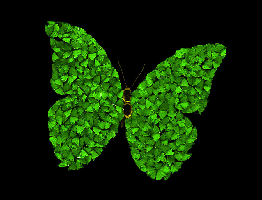 Butterfly Effect Green Digital Art by Scott Fulton
