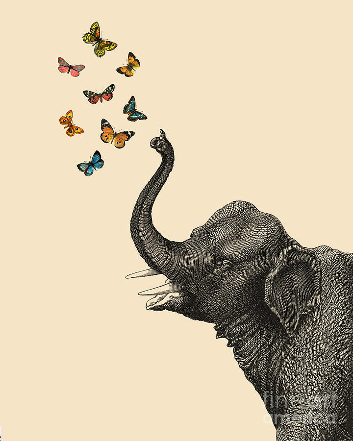 Elephant Digital Art - Butterfly Elephant by Madame Memento