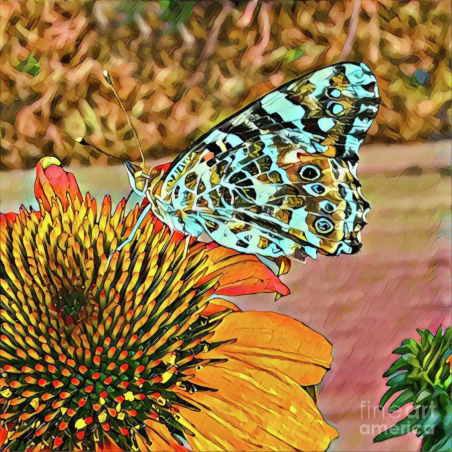 Butterfly Mosaic Flower- Abstract Photograph