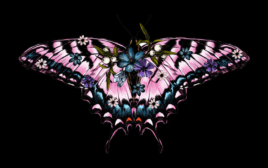 Butterfly Flower1 Digital Art by Scott Fulton