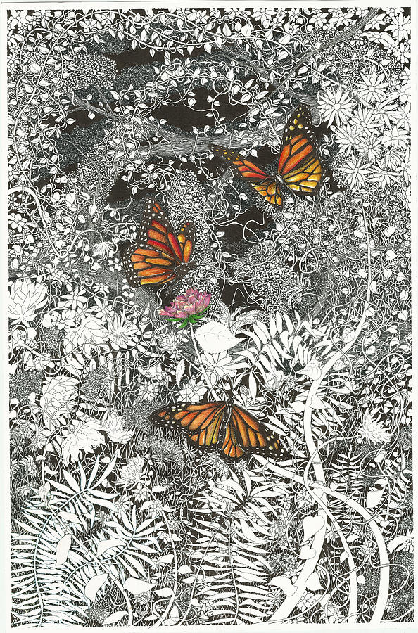 Butterfly Garden Drawing by Jonathan Baldock