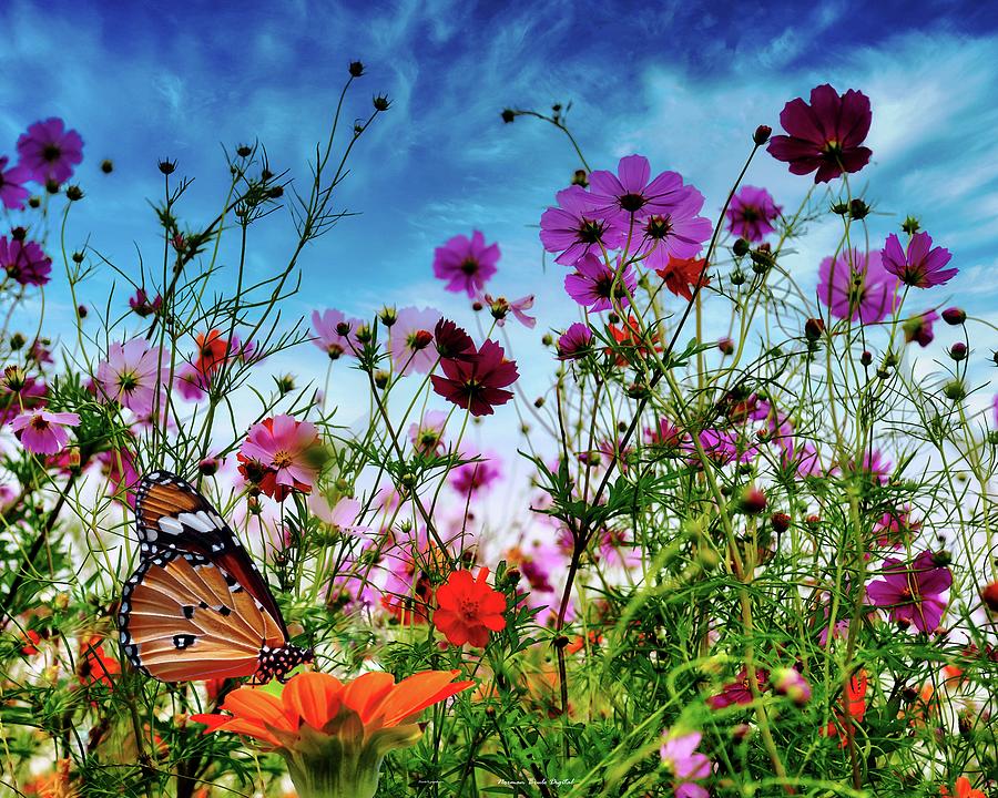 Butterfly Garden Digital Art by Norman Brule