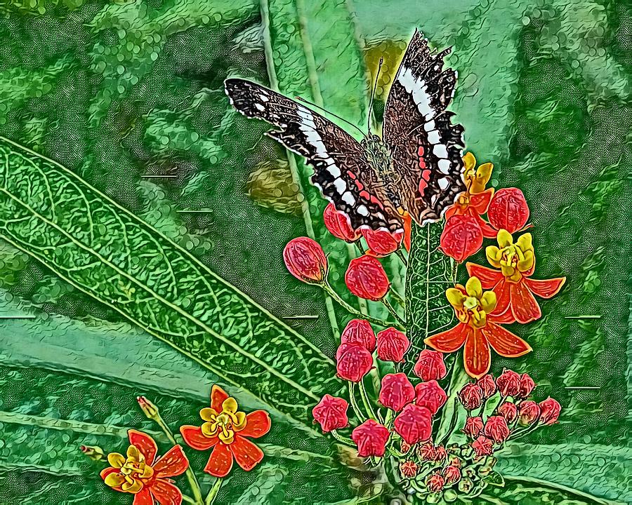 Butterfly Garden Mixed Media by Robert McKinstry