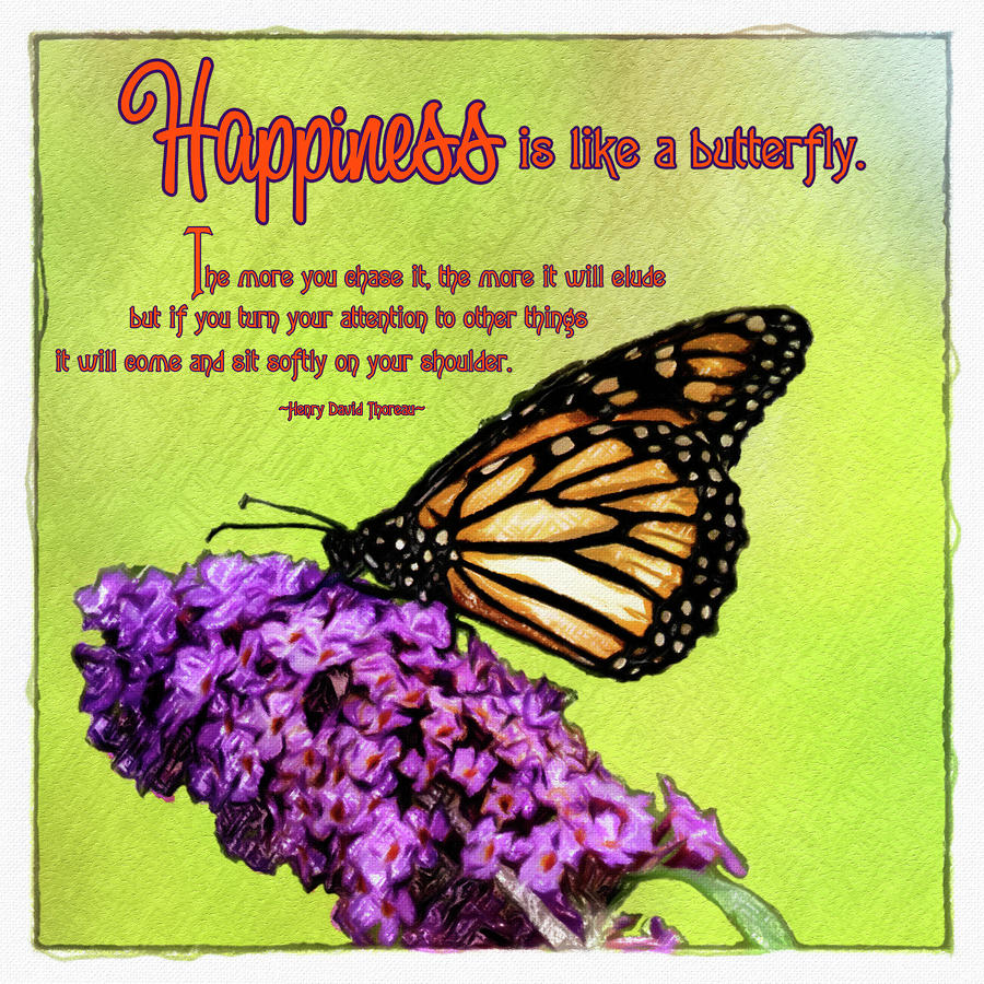 Butterfly Happiness Digital Art by Leslie Montgomery