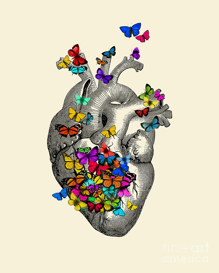 Butterfly Digital Art - Butterfly Heart by Madame Memento