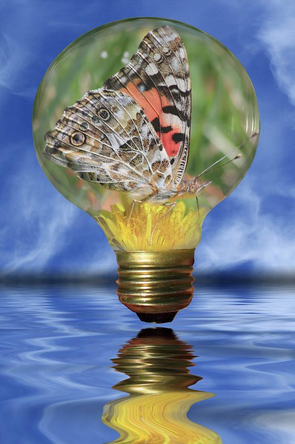 Butterfly Photograph - Butterfly In Lightbulb by Shane Bechler