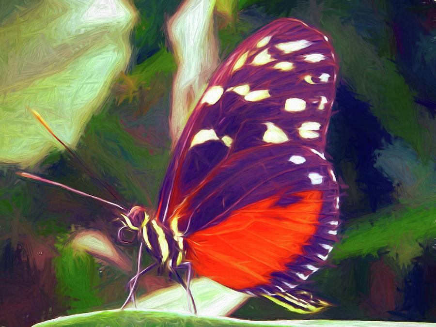 Butterfly In Oil Digital Art by Steven Parker