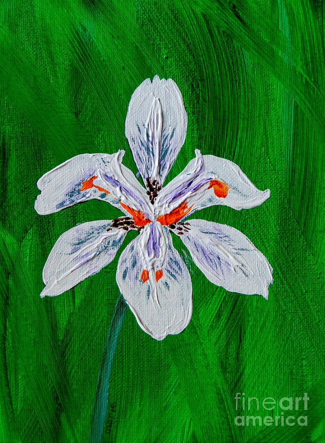 Butterfly Iris Painting