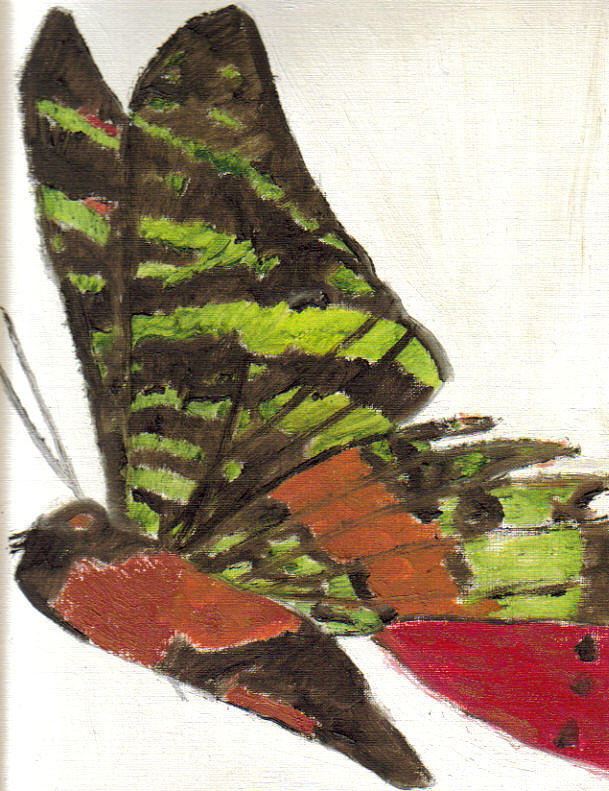 Butterfly Painting by John Hodgson - Pixels