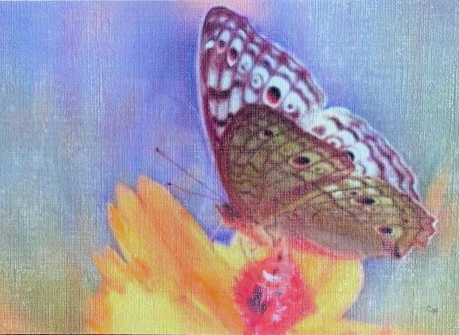 Butterfly Kisses Painting by Cara Frafjord