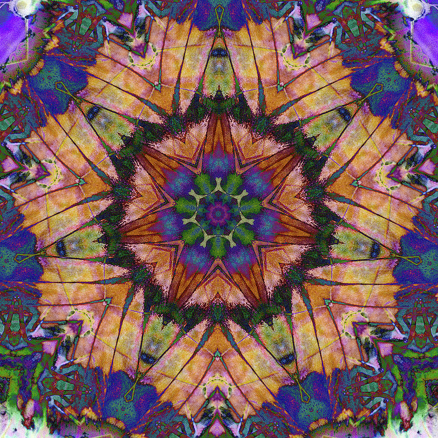 Butterfly Mandala Digital Art by Dave Turner