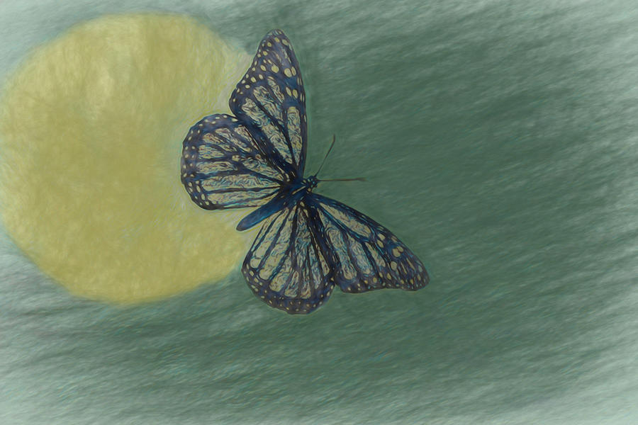Butterfly Moon 2 Digital Art by Ernest Echols