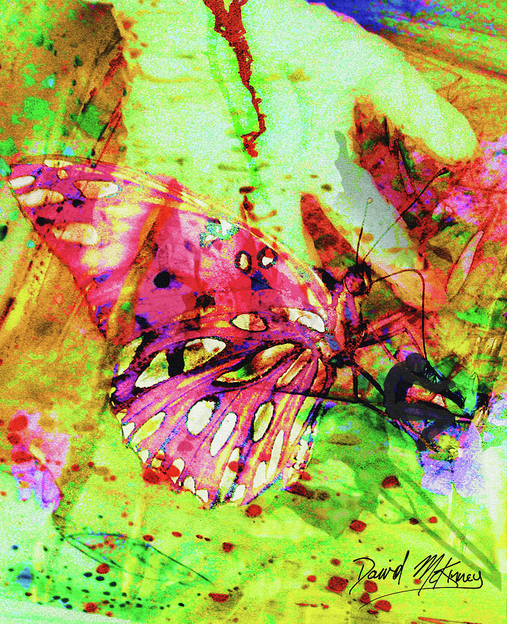 Butterfly Digital Art - Butterfly Musician by David McKinney