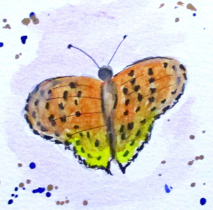 Butterfly No3 Painting by Clyde J Kell