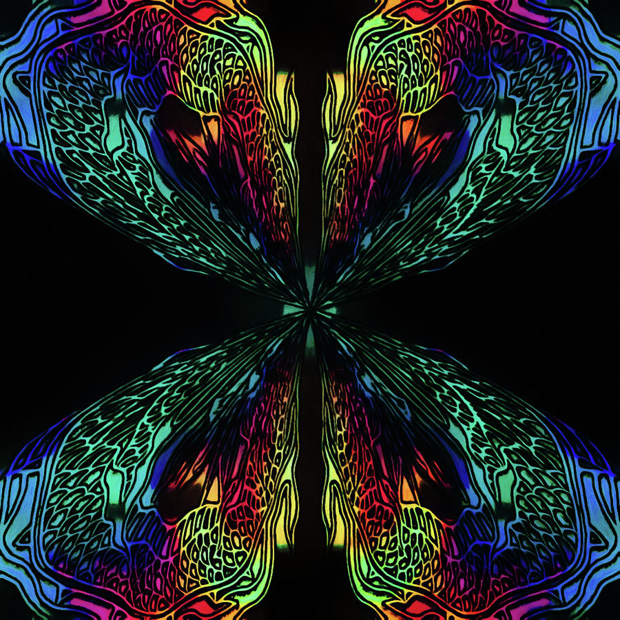 Butterfly of Chaos Digital Art by Susan Maxwell Schmidt