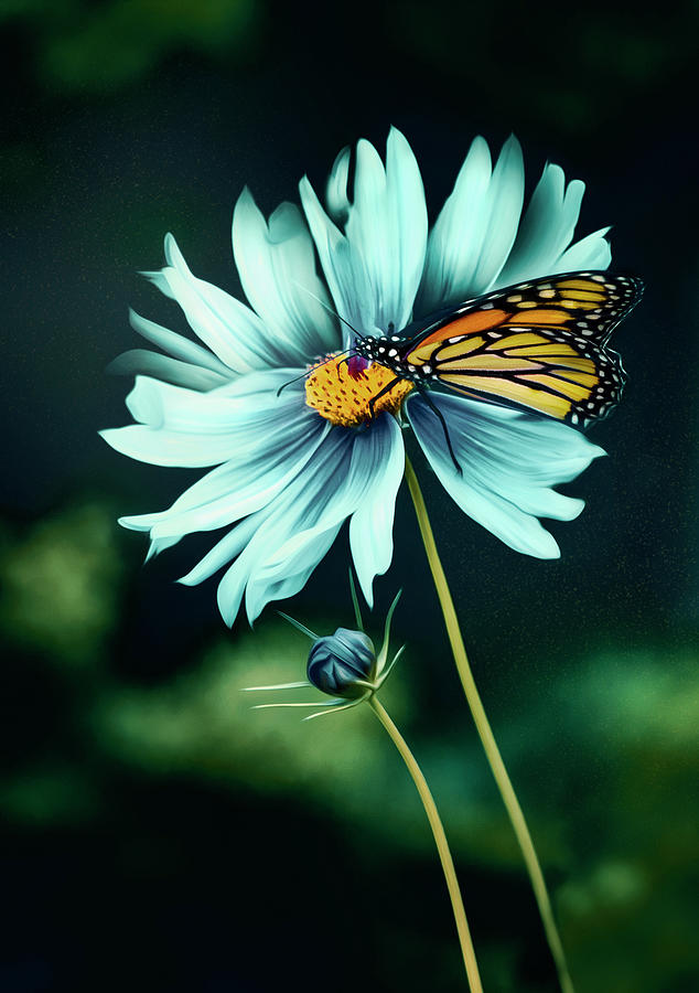 Butterfly on a Blue Flower Photograph by Deborah Penland
