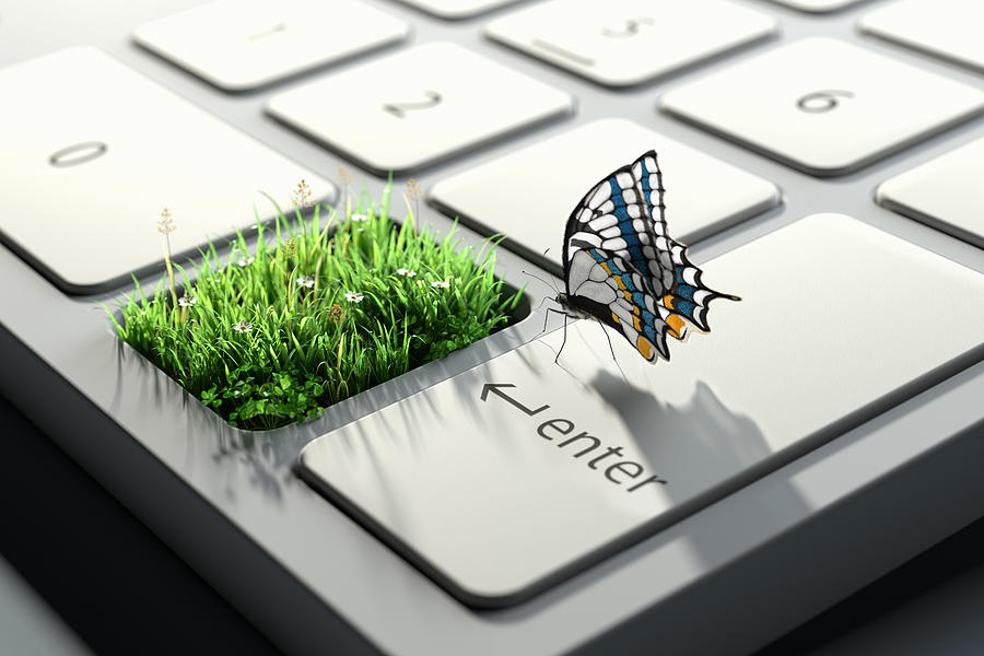 Butterfly on a computer keyboard with grass Drawing by Dieter Spannknebel