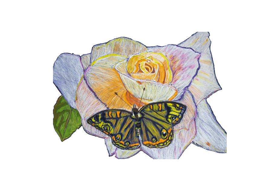 Butterfly on a Rose with Transparent Background Drawing by Ali Baucom