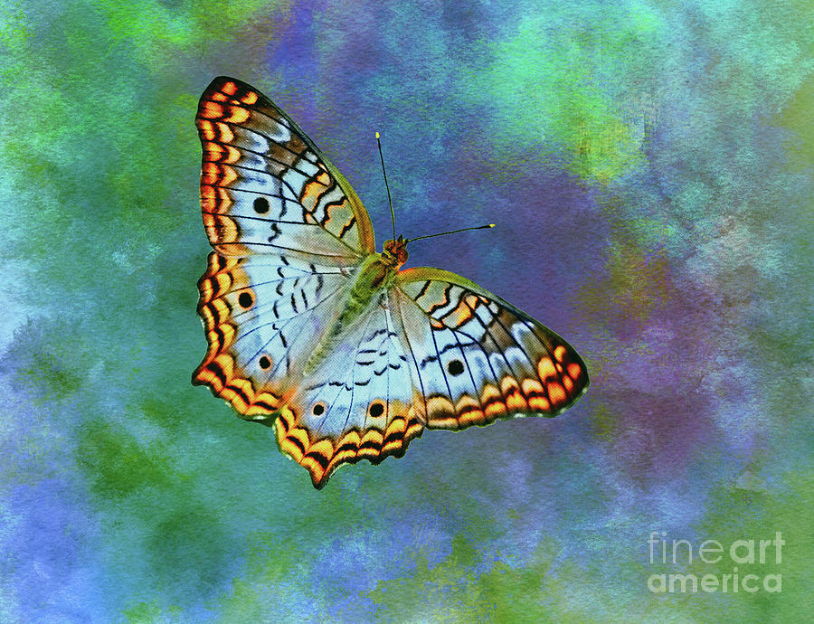 Butterfly on Blue Digital Art by Judi Bagwell